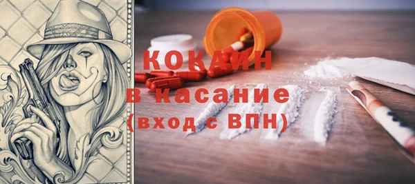 индика Пестово