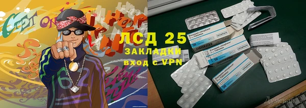 индика Пестово
