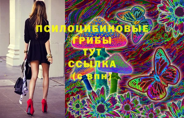 индика Пестово