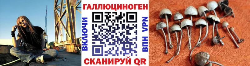 как найти наркотики Стерлитамак Псилоцибиновые грибы GOLDEN TEACHER