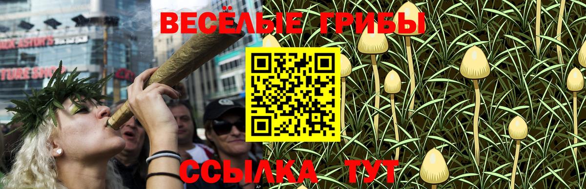 Галлюциногенные грибы MAGIC MUSHROOMS  Вход с VPN  Стерлитамак 